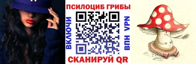 гидра ССЫЛКА  Кулебаки  Псилоцибиновые грибы мицелий 